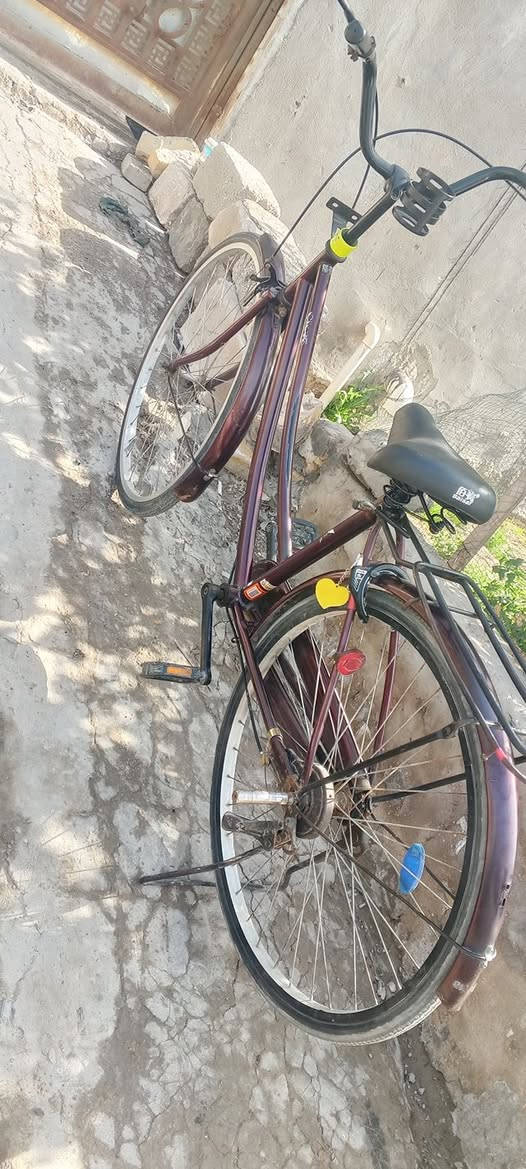 سلام عليكم
باسكل البيع باسكل نضيف كلشي مابي فقط مكينه يحتاج زايفه فقط باسكل نضيف سعره قيم بل يرضه الله بي وتحياتي مكانك نجف الاشرف كوفه (عباسيه)  اليريده يجي خاص


**إذا كنت صاحب هذا الإعلان وتريد حذفه لأي سبب، رجاءا أرسل رسالة إلى الدعم الفني**