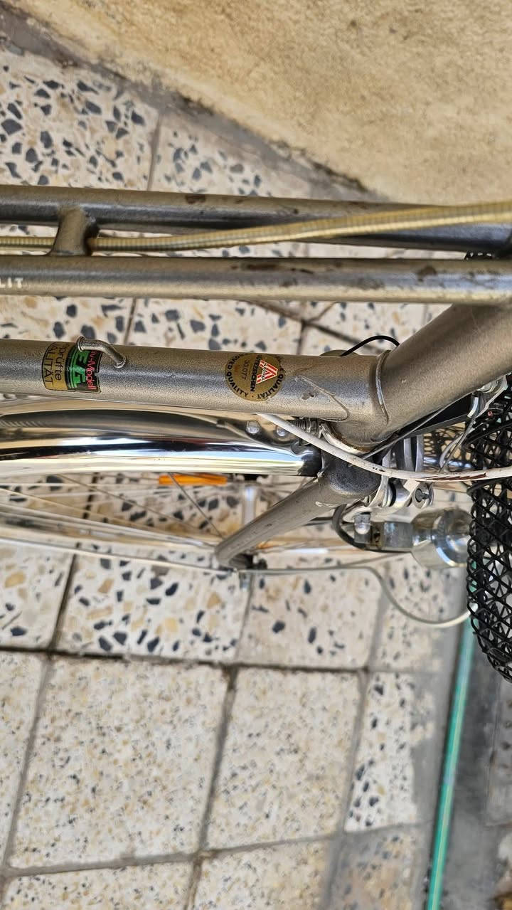 Ktm ماركة نمساوية غنية عن التعريف
 قطعة كلاسيكية تحفة ويل وجاملغ ستل ستيل بطيخات صينية ستيرن بريكات فافون عكرب شيمانو لايت وبك لايت وداينمو قفل بلتن باللشة تحكم بريك خارجي بايسكل بلاد بس تاير خلفي مبدل ١٥٠ قفل العنوان الدورة


**إذا كنت صاحب هذا الإعلان وتريد حذفه لأي سبب، رجاءا أرسل رسالة إلى الدعم الفني**