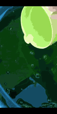 شوفوا جمال الالوان الهنديه توفرت يمنه انواع مع المواد كافة وعجينه ولعطور الفواحه وتوصيل لكل المحافظات مع دورات طبعا ***********
