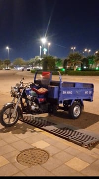 ستوته • ٢٠٢٣ • اوراق اصولي