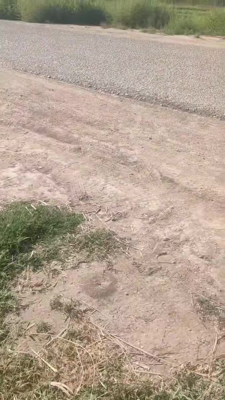 ارض زراعية  بابل ناحية الشوملي خيكان الغربي على نهر الشوملي مباشر وعلى التبليط مباشر 
سند 25 واجهة الأرض على التبليط 200 متر 
ترهم بيوت وترهم محلات ومخازن وبيوت زجاجيه 
ينباع منها دونم فما فوق 
موقع ممتاز وكافة الخدمات متوفرة 
للتواصل والاستفسار أكثر  واتساب او إتصال 
***********
