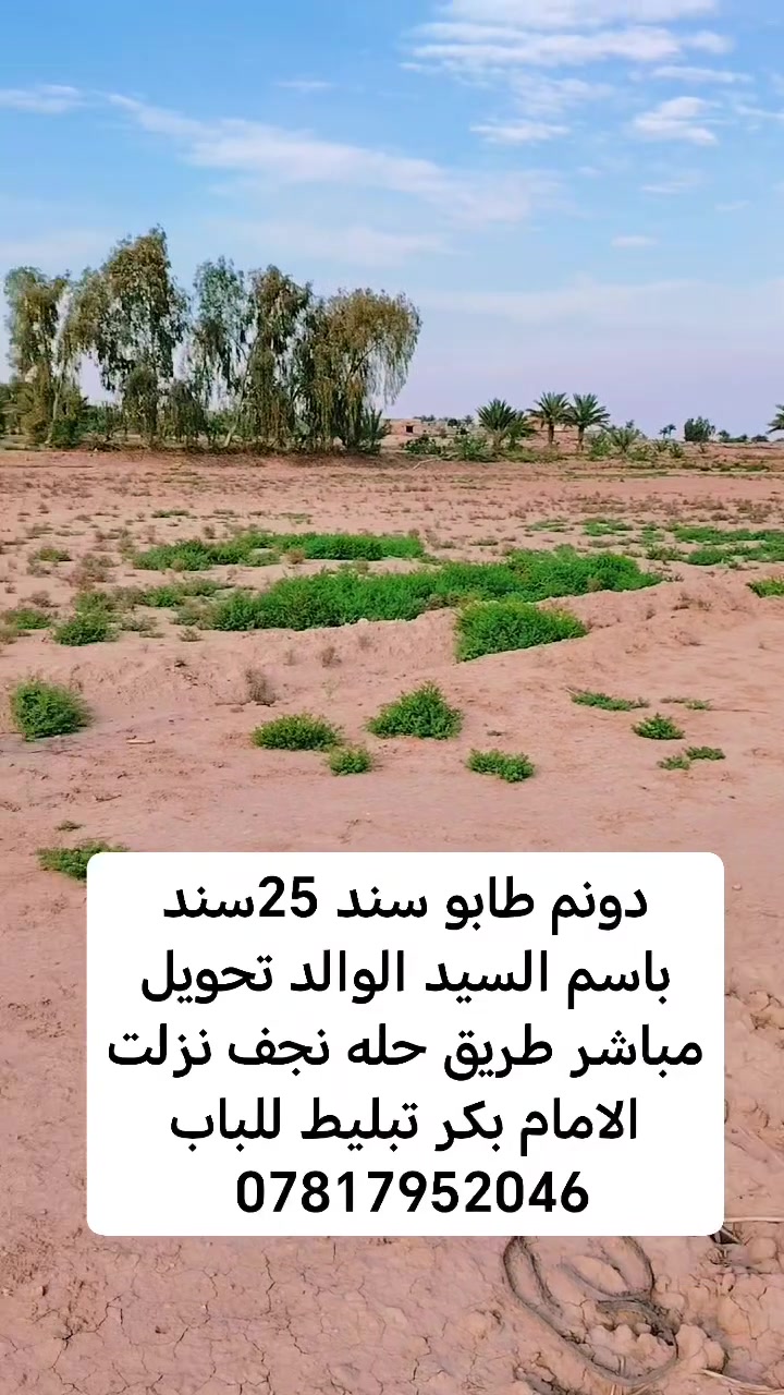 دونم طابو سند 25  بأسم الوالد طريق حله نجف نزلت الامام بكر تبليط للباب خدمات متوفره👇
تبليط ماي كهرباء اباب الاض *********** مزارع فقط خاصه بل موضفين مكان راقي وعش لراحه النفسيه والهدوء وسعر مناسب جدا بنسبه الهيج اجواء وموقع ***********

