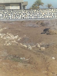 بناء حجر • كرسته