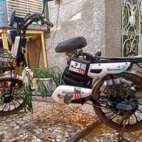 دراجة شحن • حجم ٢٠ • بابل