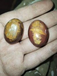 للبيع داوودي شرط شغالات والله 07809619778