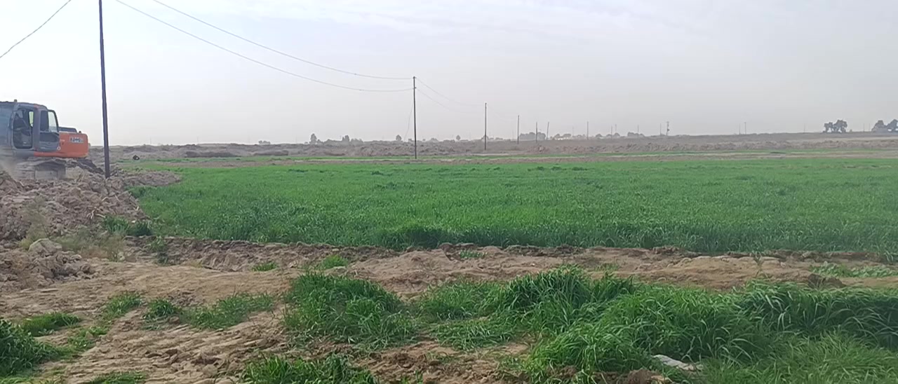 السلام عليكم زرع كتل البيع 20دونم مكصل مال رتع ***********
