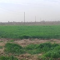 زرع كتل البيع 20دونم مكصل مال رتع 07760712182