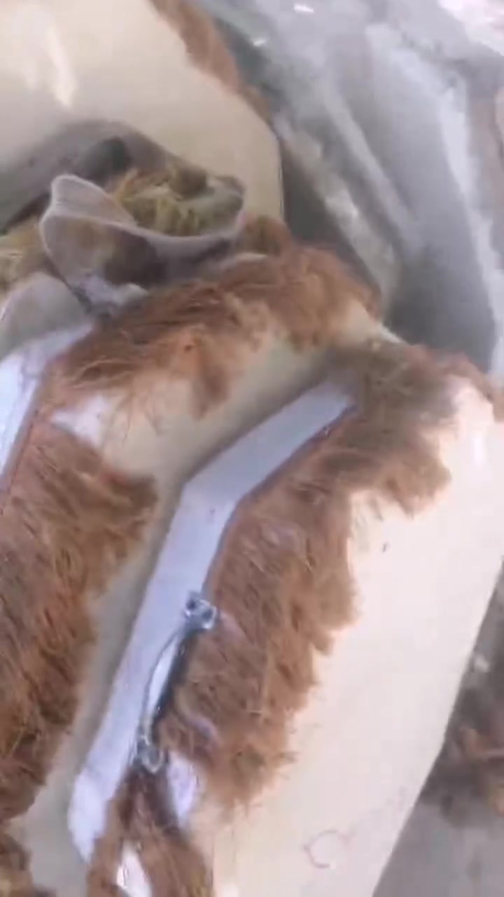 سلام عليكم خدام الحسين طبوله جلد كاملات للبيع مع ركم ودانتيل جاهزات الشراي يجي خاص


**إذا كنت صاحب هذا الإعلان وتريد حذفه لأي سبب، رجاءا أرسل رسالة إلى الدعم الفني**