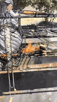 السلام عليكم ورحمه الله وبركاته 
يوجد لدينا سمك حي 🐟
سعر الكيلو مع الشوي 7،000🧑‍🍳
المكان شهربان سريحة شارع القاعه حسين جواينة 
يوجد لدينا خدمة توصيل 🏍️
للاستفسار الاتصال على الرقم الموجود
👈‏‪0770 594 9635‬‏
الشوي الطعم فول 😋 مع الصلصه 🥣
