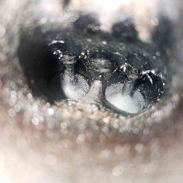 أدامة سيراتو للخلوق الطيب كرار ابو علي بتاريخ ألاحد2025/11/23
تنضيف غرف الاحتراق الداخلي+الولفات بمادة قشور الجوز 
تنضيف النوزلات+المسطرة+فلاتر +واشرات+فايبرات
فحص المجاول خارجيا بجهاز متخصص في كشف التهريب 
فحص البلكات وتبديلها اضطراريا بسبب القديم غير مطابق
فحص الفيت بم وخط الراجع اكترونيا بالجهاز 
تنضيف الجويتر مع البرمجة 
تنضيف حساسات الكام شفت 
تنضيف حساسات VVT منضمات الزيت 
تنضيف حساس الماب سنسر 
تنضيف حساس ألاوكسجين 
تنضيف ولف التبخير
تنضيف الدكشن البارد 
تنضيف سطح المحرك بفوم خاص مجدد 
برمجة السيارة بالكامل بعد العمل وقرائة الايف داتا الشاملة للسيارة 🌹🌹✌️

تحياتي مركز المصطفى 
بأدارة مصطفى الموسوي 
سيارات الاربعة سلندر 50 الف 
سيارات الستة سلندر 60 الف 
العنوان السماوة حي الاعلام شارع السيراميك الرئيسي مجاور معرض الخفاجي للانشائية و آزاد للسيراميك 🌹 
***********
