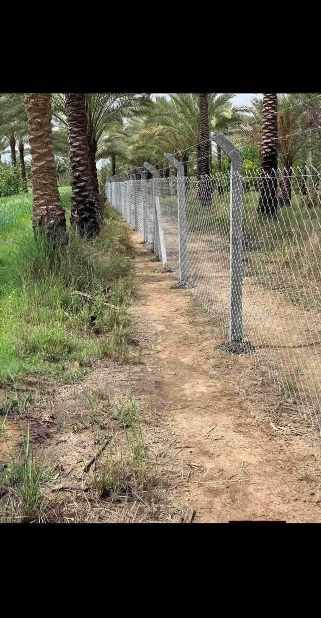 ***********
يتوفر واتساب 
مستعدون لعمل ونصب اسيجه  بيارسي بكافة أنواعها وشغل مضبوط و بأاسعار مناسبة وحسب المواصفات والمساحه نعمل في جميع محافظات العراق الحبيب 🇮🇶 Singapore
