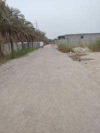 قطعه للبيع 100متر مكان الرشديه يم البوري الاسود منطقة تبليط  القطعه اس...