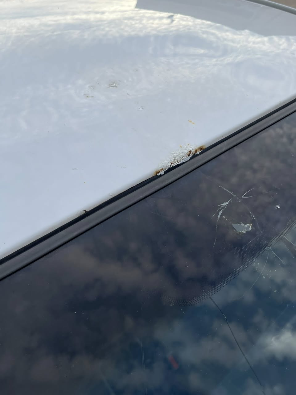 السلام عليكم
اوبترا 2012 للبيع رقم بابل بأسمي رقم دولي جديد وهزه لشهر السابع تنتهي يعني متعبك لا ادخال هزه ولا تبديل لوحات فقط  تحويل ملكيه بيها صبغ جاملغين الامامي بدون ضربه
كير ومكينه مبدلات حاويه ماشيه 335 الف قابل للزياده
تبريد جان منقص غاز ومن فتحت الدشبول وسويت التدفئه بطريقي بدلت واشرات و شحنته غاز وبعد ماشغلته 
يعني تدفئه شغاله وتبريد شغال السعر 78 وبيها مجال بسيط
***********
مكان السياره خلال الدوام بالنهار بالكراده
وبعد الدوام بالمحموديه
