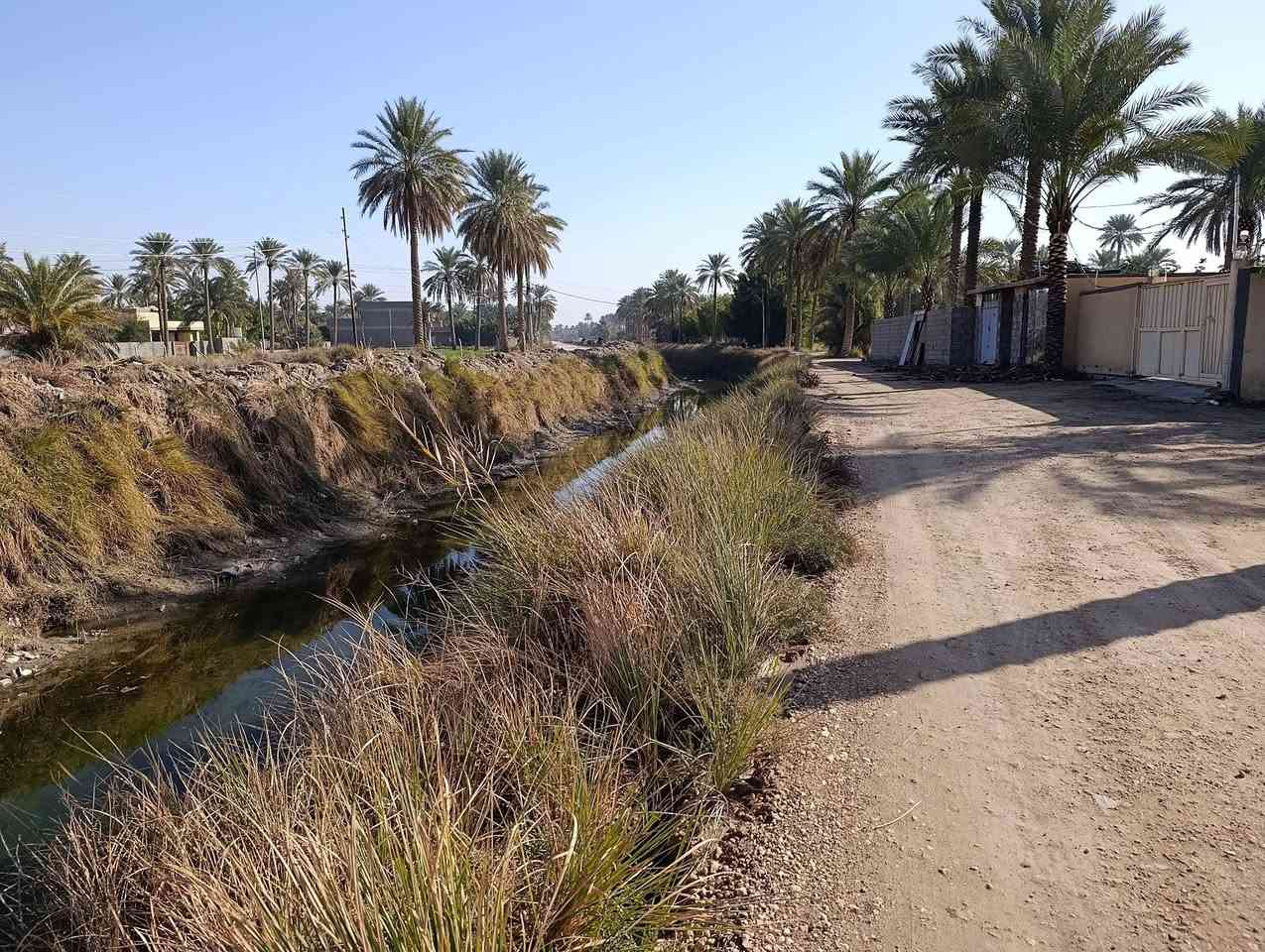 سلام عليكم ارض زراعيه للبيع مساحه 1400 متر طابو زراعي سند 25 بسمي مسيجه واجهه جدول النيل ماء سقي متوفر وماء اساله بل باب سيح كهرباء خطين بيهه تصلح مزرعه دار سكن اي شي خدمات كامله ومتوفره تبعد عن شارع النيل 500 متر والتبليط قريب عليهه مسافه قليله عنوان النيل قرب مخازن القمه تبعد عن الجزائر 5دقايق سعر نتصل وسهله الي شخصين ***********,,,,,,***********,,
