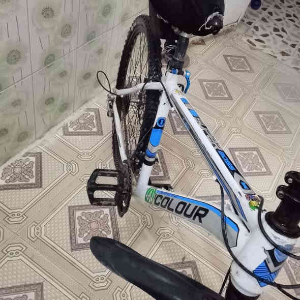 السلام عليكم البيع باسكل كيمو حجم 26 يابني شرط تايرات وجوبه نضيفه بريك ورا شغال باسكل نضيف سعره 45 وبيها مجال العنوان تكريت القادسية شارع ابو عقررب. او مراوس حسب القناعه رقمي ***********
