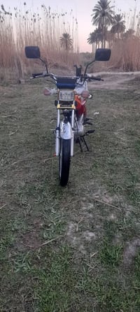 تايگر موديل 23 • أوراق كاملة • اللطيفية