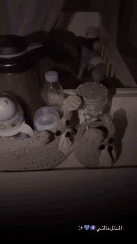 جرباية طفل للبيع نايم بيها شهرين فقط نظيفة تلمع وجديدة كاملة هيه والفراش والناموسيه مشتريتها ب ٥٠ الف وحدها ولله بس ادزها هدية ويه الجربايه الي يحب يتواصل عالواتساب ***********
