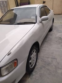 اريد مراوس سعر ٧٥ وبيه مجال قليل رقم تلفون ٠٧٧٥٣٠٩٩٠٢٧