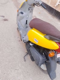 ماكس منغولي • مكفوله • نضافة٩٨%