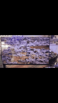 شاشة حجم ٧٠ اسمارت 
السعر ٤٢٥
هاتف /***********
