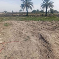 شارع المعاره • ٢٠٠م • طابو زراعي سند ٢٥
