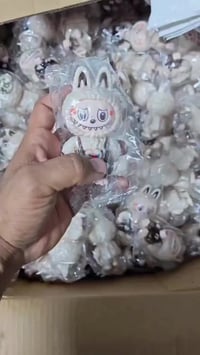 مخازن الشعب • حجز واتساب • درزن 12