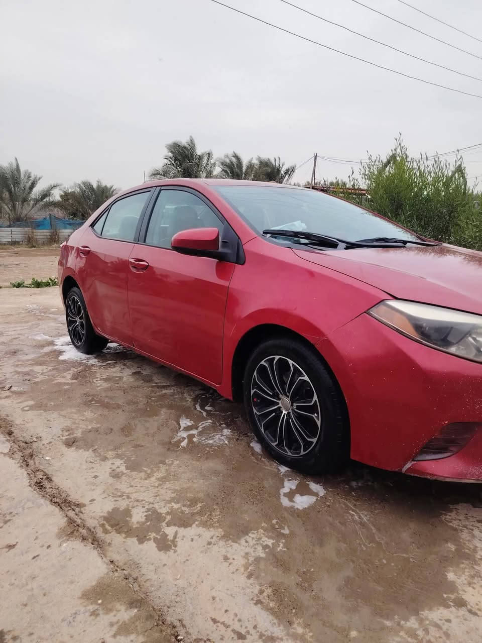 سلام عليكم للبيع كورلا ١٦  ***********  رقم 5YFBURHE0GP513637 والتفاصيل للاتصال ***********
