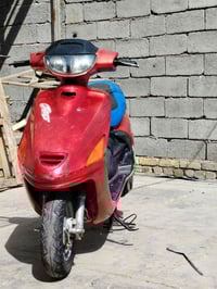 فراشه • فحل • كهربا شغاله