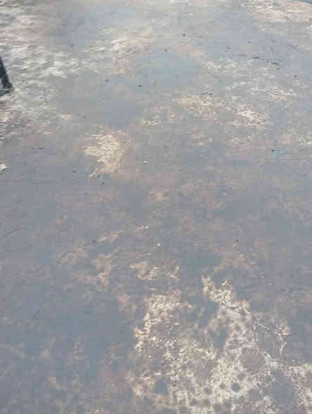 السلام عليكم يوجد جير التجير سطوح والاساسات سعر البرميل 65كرسته وعمله اللي يريد يجي خاص بي خير ويدلل ويدك على الرقم ***********
