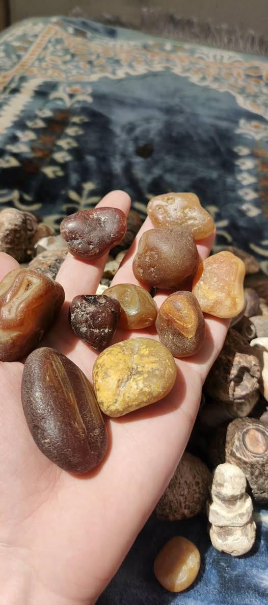 جملة قطعة على ألف بيع شلع أكثر من ١٢٥ قطعة مال بثوث ومزادات خير من الله شغلة بس إني ما الحك


**إذا كنت صاحب هذا الإعلان وتريد حذفه لأي سبب، رجاءا أرسل رسالة إلى الدعم الفني**