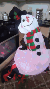 رجل الثلج مع بطاريق ثنين كبار الحجم اكثر من ١٨٠ سم بداخله نشره والبور ...