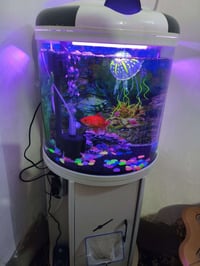 حوض اسماك للبيع الإستفسار اتصال على الرقم+7736149438