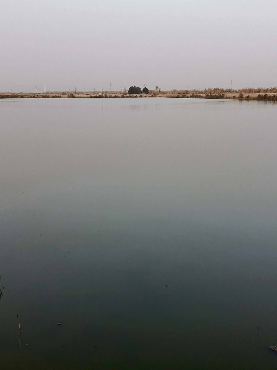 بحيرات 100دونم مجازه للايجار***********
