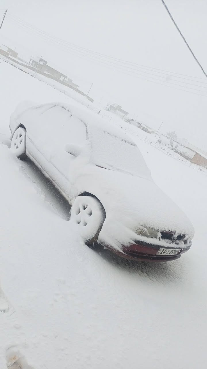 للبيع او مراوس
اوبل فكتره حجم 16 سنويه 2028 كابون بانزين وكاله وتحويل رقم دهوك مسطره محرك بي بدايه نفخ وايرمنيه شغاله كامل صبغ رش جمالي بدون ضررر او خيسان سياره جاهز من ناحيت كلشي ترهمم للبيع او مراوس السعر 38 وبي مجال شعندك مراوس نزل الاستفسار

*********** المكان قضاء سنجار قريه ام الذيبان
