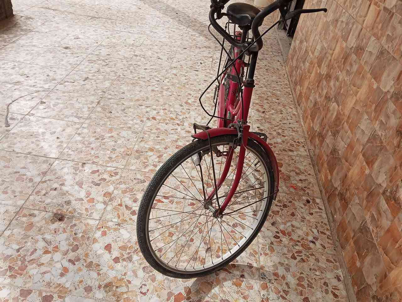 للبيع اب 75
كربلاء طوريج سياحي


**إذا كنت صاحب هذا الإعلان وتريد حذفه لأي سبب، رجاءا أرسل رسالة إلى الدعم الفني**