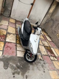 ماكس عدلة • طلعه معرض • كفاله