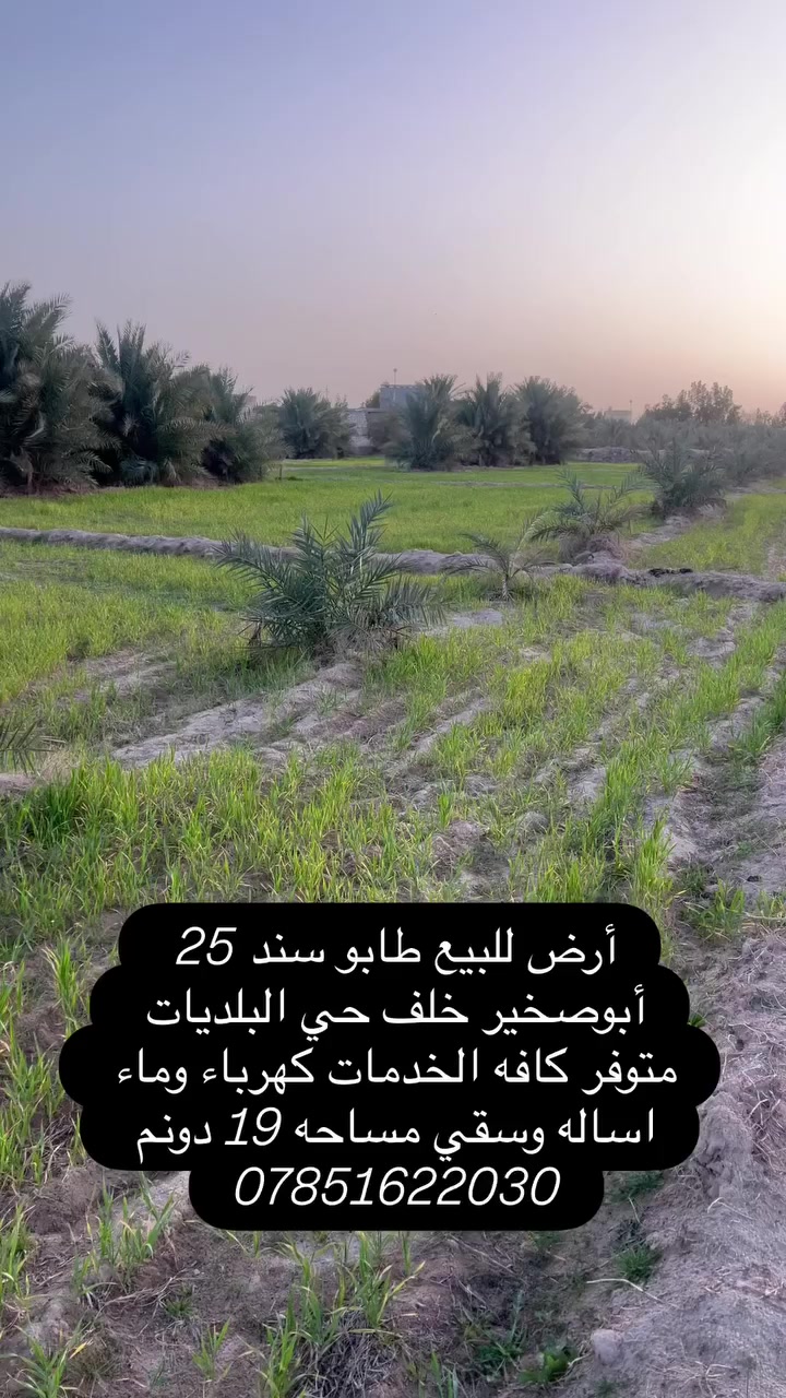 ارض طابو سند 25 (للبيع )   مساحه 19 دونم  
مكان الأرض النجف أبوصخير خلف حي الصناعي او خلف حي البلديات 
تباع كاملتاً او خمس دونم منها 
هذه الأرض تتوفر فيها الخدمات كاملة مثل ما سقي وما اسأله وكهرباء وطريق رئيسي والمنطقة سكنية وزراعية في نفس الوقت 

سعر الدونم 55 مليون 
للاستفسار  

***********                 ومن الله التوفيق لنا ولكم ….￼

