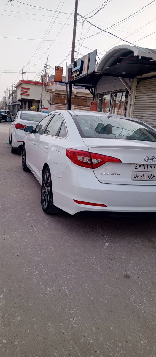 السلام عليكم ورحمه الله سوناتا موديل 17 بيه جاملغ وبنيد صبغ فقط بدون داخل نفسهن ليبل واحد جاهزه كير مكينه شرط بدون تنقيص كازكت معله بدون ايدونز حلوه مال جناي  
تريد وكاله تريد تحويل السعر 118 بيه مجال قليل تحكمات  نضام سبورت انضمه قافل سرعه تبريد ثلج تدفئه لايت زنون 
الاستفسار *********** وتساب مكاني نجف
