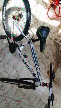 باسكل جبلي • الكوفة • جسر الامام علي