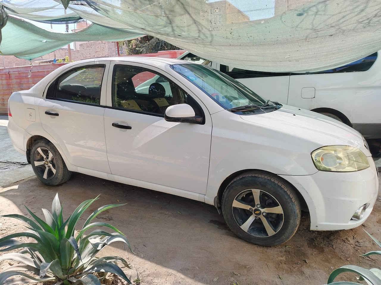 ١١ مال الشركة العامة محرك مفتوح تجي اوتو بغداد الكاظمية الطي.. ٧٠....ماشية ١٤٤...صبغ حزام..
***********
