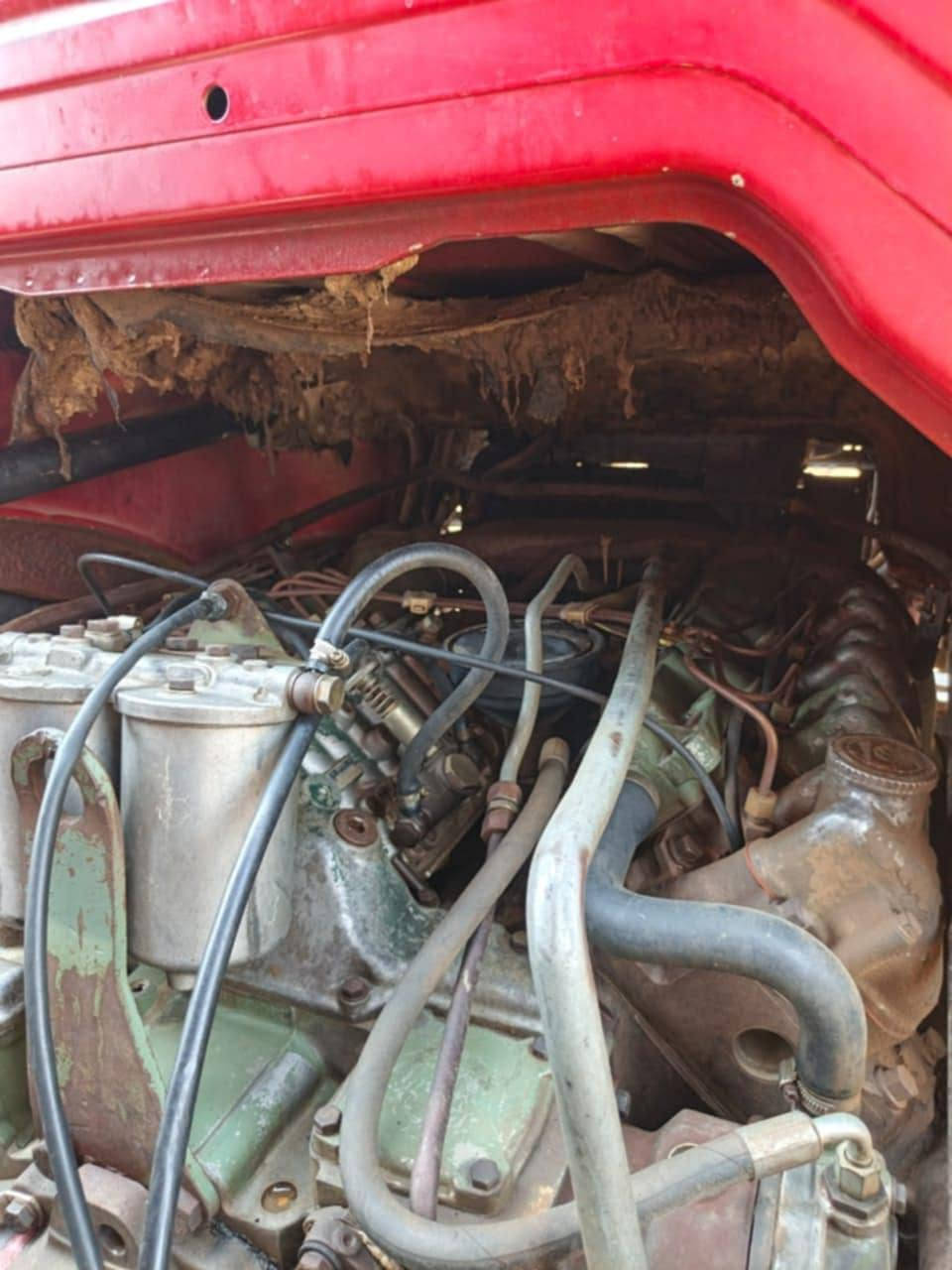 للبيع اومراوس البي كرواتي موديل 94 مكينة v8 28 كير برميل 160 رقم صلاح الدين انكليزي  سيارة مكفولة وجاهزة للعمل متصرف عليهة دينار مكان السيارة ديالى  ***********
