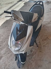 سكنس فحل • شغال • كربلاء