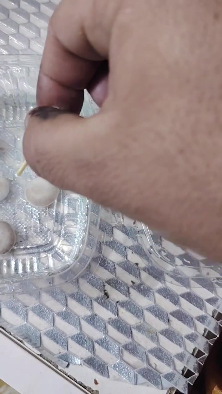 على الفحص عطف بحري اصلي فول ومكفول  لي يفدده يراسلني واني خادم كم قطعه ظلة وتعرفون شني الفوائد مالتها


**إذا كنت صاحب هذا الإعلان وتريد حذفه لأي سبب، رجاءا أرسل رسالة إلى الدعم الفني**