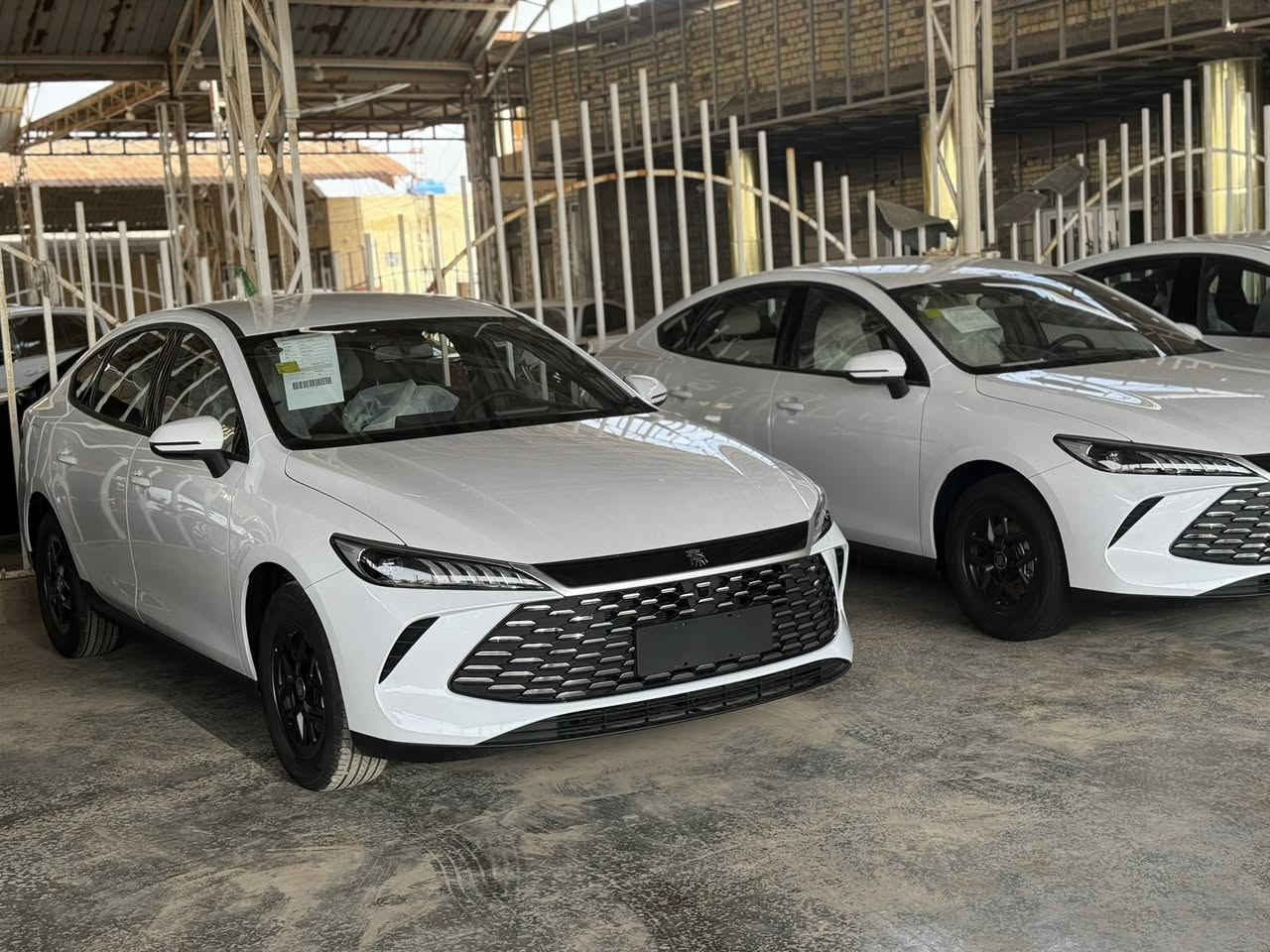 كن بلص 2025
ترقم جميع محافظات 
السعر 116 شامل الرقم 
العنوان المثنى الرميثه 
تليفون ***********
