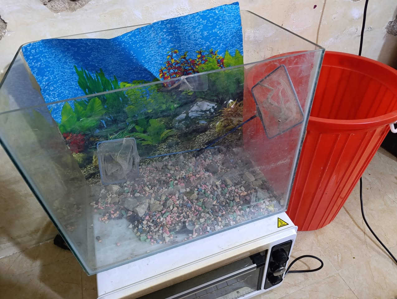 حوض اسماك نضيف وزين ب35


**إذا كنت صاحب هذا الإعلان وتريد حذفه لأي سبب، رجاءا أرسل رسالة إلى الدعم الفني**