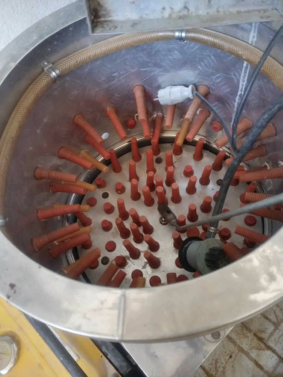 ئە شیای دوکانی مریشک زۆر بێکێشە ن لە سلێمانی نرخیان 450 معا مە لە


**إذا كنت صاحب هذا الإعلان وتريد حذفه لأي سبب، رجاءا أرسل رسالة إلى الدعم الفني**