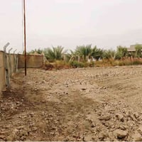 طابو زراعي • خلف جامعة بابل • ٢٥ دونم