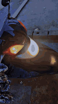 السلام عليكم دراجة سبيسي للبيع دراجه نكرة سلف كهربايات كلها شغاله اشاير لايت  بكلايت كله شغال سلف هندر مناقصها اي شي مكاني بغداد سعر ٥٥٠ وبيها مجال دراجه ماناقصها اي شي بس شغل وتطلع رقمي *********** الاتصال
