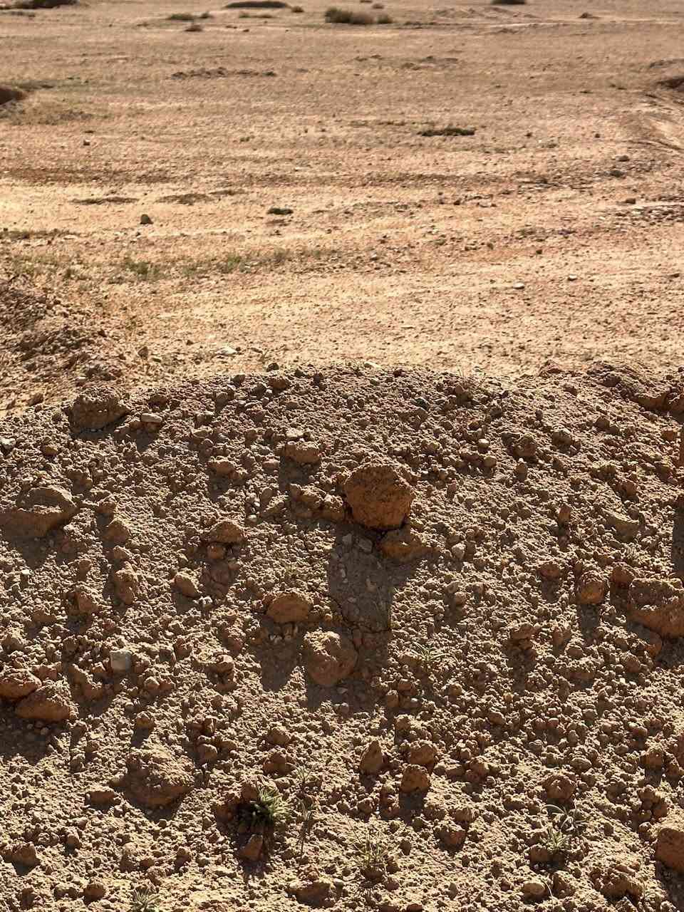 للبيع ارض زراعيه المساحه ٦٠٠ دونم الشراي اليريد اكثر اقل موجود الرض مقابيل البهليل قرب مزرعت الزيادي كهرباء يمه ماء قريب ***********
