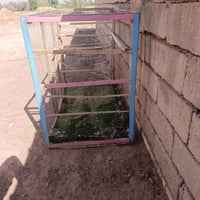 قفص • نضيف • طول متر ونص